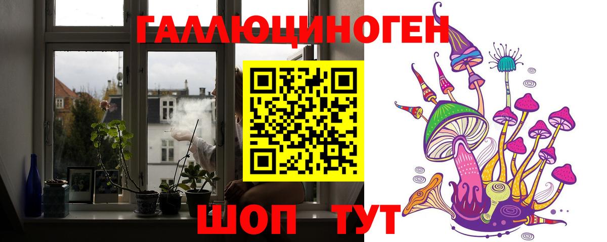 Галлюциногенные грибы прущие грибы Фролово